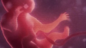 سونوگرافی و رادیولوژی دکتر مردانی