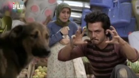 وضعیت سفید 13