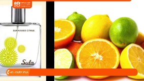 آموزش عطرسازی | خانواده عطرها