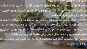 آموزش تراریوم مدرن - ساخت تراریوم آویز