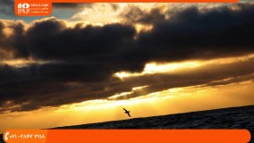 آموزش اصول عکاسی مدرن - نکات ترکیب بندی