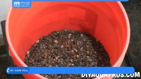 آکواریوم گیاهی - نحوه راه اندازی آکواریوم پلنت