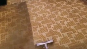 بهترین قالیشویی