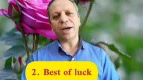 گروه آموزشی طاها