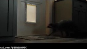 فیلم سینمایی سونیک دوبله فارسی لایک وفالو فراموش نکنید