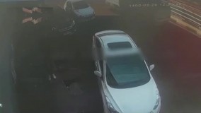 سرقت تلفن همراه بازیکن استقلالی در روز روشن !