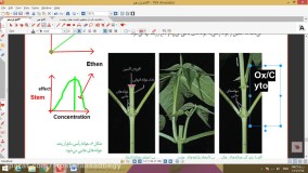 زیست یازدهم فصل هشتم تولید مثل قسمت اول