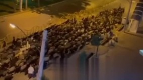 تصادف مرگبار و تلخ یک خودرو با گله گوسفند‌ان