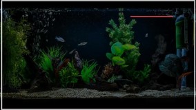 آموزش ساخت آکواریوم - اتاق پرورش و نگهداری مرجان