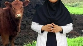 رو اینجوری به پای درخت نپاش