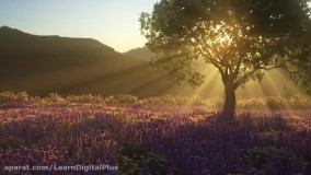 ساخت درخت، گل و گیاه در سینما4دی