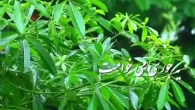 دانلود آهنگ صدای بارون گرشا رضایی