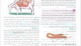 کتاب جامع زیست دهم مهروماه