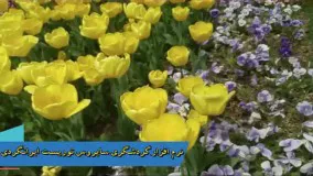 گلهای بهاری طبیعت گردی آهنگ راغب دیوانگی نرم افزار گردشگری سایروس توریست