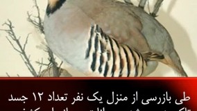 کشف پیکر تاکسیدرمی حیوانات در لرستان