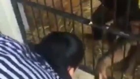 زورگیری و موبایل قاپی به حیوانات هم رسید