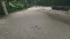 اگر کوه‌ های آلپ ایتالیا رو از نزدیک ندیدید این فیلم رو از دست ندید