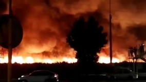 حریق در نیزارهای بوشهر