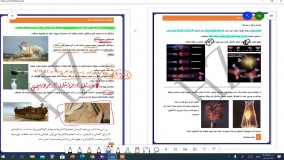 سینتیک قسمت 1