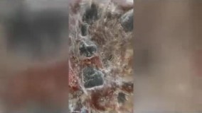 تصاویری شگفت‌ انگیز و بی‌سابقه از حجرالاسود