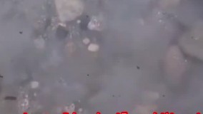 فلزیاب چهارمحال بختیاری-فروش فلزیاب 09102191330