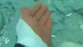 فلزیاب کرمان-فروش فلزیاب 09102191330