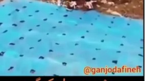 جویندگان طلا (@joyandeganetala) آدرس جویندگان طلا