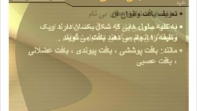 جزوه آناتومی انسانی