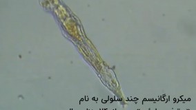 بازگشت به زندگی بعد از ۲۴ هزار سال