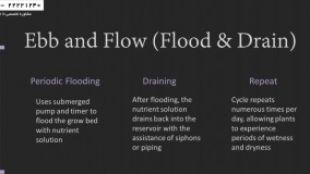 آموزش کشت علوفه هیدروپونیک-آموزش هیدروپونیک-در هیدروپونیکطریقه کار سیستم