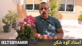 Alireza Koohshekan علیرضا کوه شکن