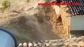 حمله گراز پشمالو وحشی به خانه