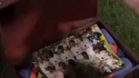 ویدئوی جالب باشگاه پارما برای معارفه بوفون