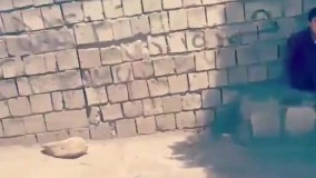 آبیاری خاصِ درختان توسط جوان معلول