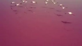 دریاچه مهارلو شیراز