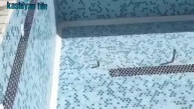 فروش سرامیک استخری میکس گلدیس