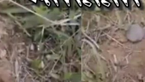 قویترین فلزیاب 09198500180