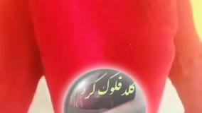 دستگاه مخمل پاش-دستگاه ابکاری-فانتاکروم گلدفلوک