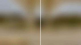 باغ ویلای 900 متری مشجر در ملارد ویلای شمالی