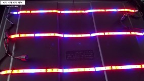 آموزش کشت هیدروپونیک | کشت هیدروپونیک (جلوگیری از پنج اشتباه رایج )