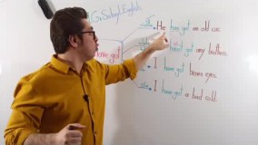 کاربرد have got