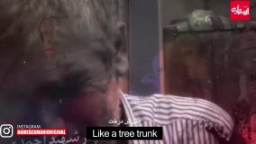 ترور اهواز با صدای حامد زمانی