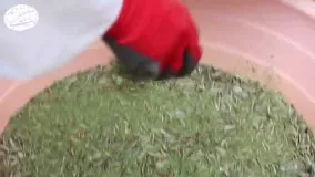 خشکبار نعمتی