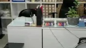 نمایندگی سیم و کابل کرمان