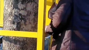 شروین نعیمی