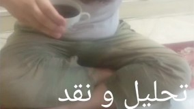 شروین میمون