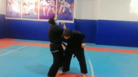 عاطفه آقایی بانویی با اندیشه‌های طلایی