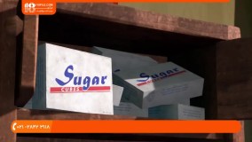 ماشا و میشا|انیمیشن ماشا و میشا|کارتون ماشا ومیشا(جشنواره رقص/قسمت7)