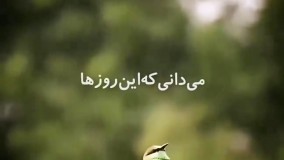 کلیپ دستهایم را می‌سپارم به دستت _ کلیپ زیبای خداوند