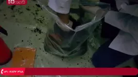 آموزش پرورش قارچ - پرورش قارچ در فضای باز واحد تولید قارچ